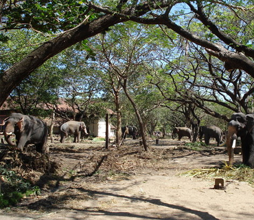 See the benefits of investing in a villa