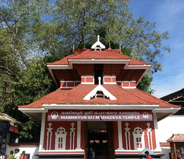 See the benefits of investing in a villa