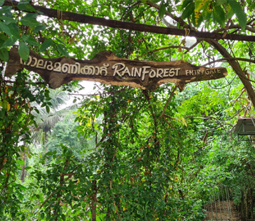 See the benefits of investing in a villa